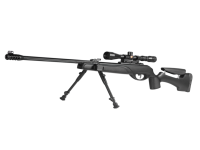 Gamo HPA Storm IGT