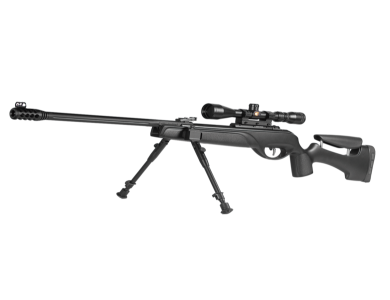 Gamo HPA Storm IGT