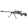 Gamo HPA Storm IGT