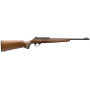 Browning Winchester Wildcat Field (.22 LR)